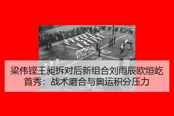 liang-wei-keng-wang-chang-chai-dui-hou-xin-zu-he-liu-yu-chen-ou-xuan-yi-shou-xiu-zhan-shu-mo-he-yu-ao-yun-ji-fen-ya-li-2-564.jpg